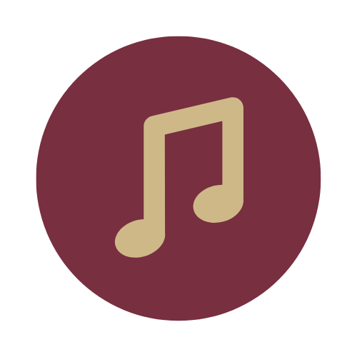 Music LLC Icon